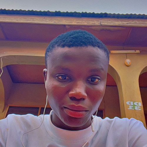 Adesoye D.