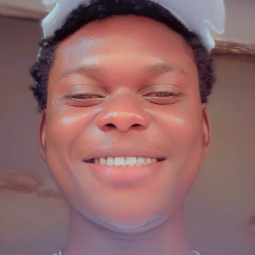 Chukwudi  S. profile photo