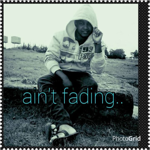 Dennis  M. profile photo