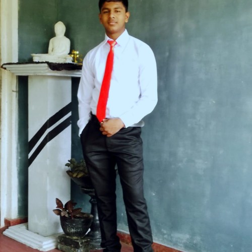 janidu b.