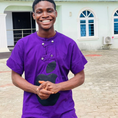 ifeanyi A. profile photo