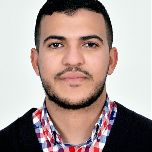 Mehdi M.