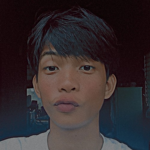 Jaypee L. profile photo