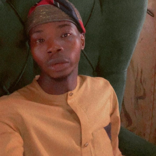 Olasunkanmi O. profile photo