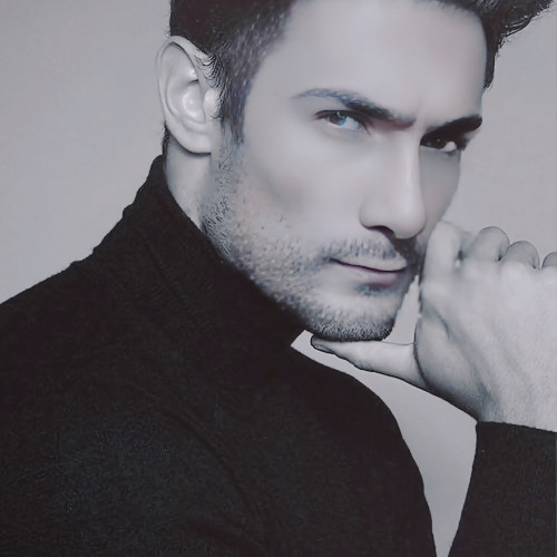reza m. profile photo
