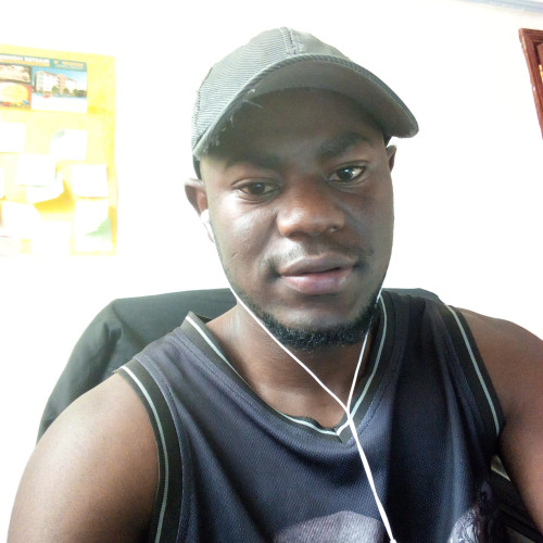 Steve O. profile photo