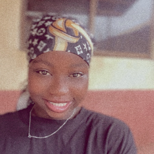 Abiodun N. profile photo