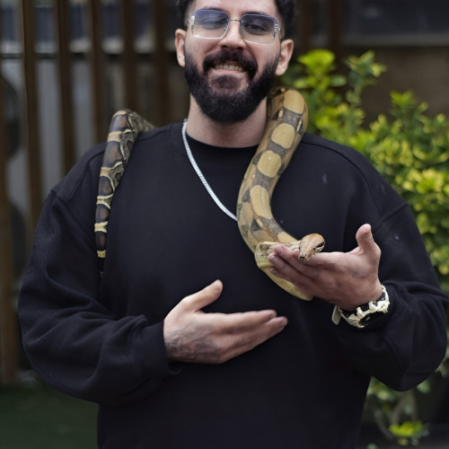 Yasha K. profile photo