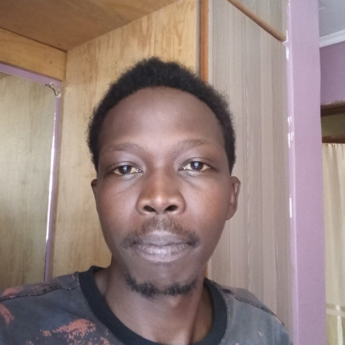 Moses M. profile photo