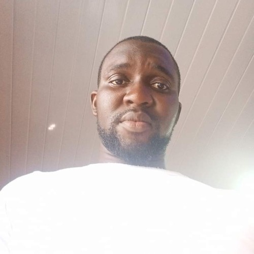 Yomi A. profile photo