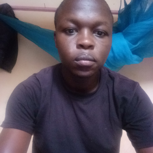 Evans M. profile photo