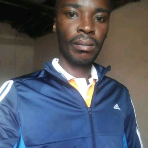 Simo S. profile photo