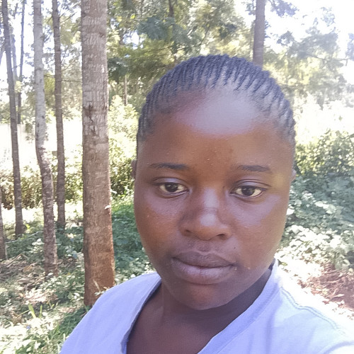 Sarah K. profile photo