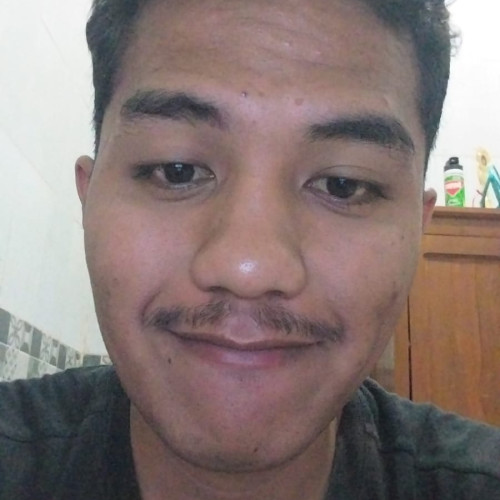 Wisnu S. profile photo