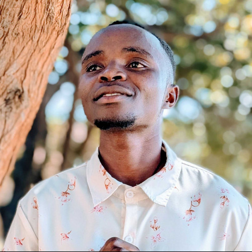 Telly M. profile photo