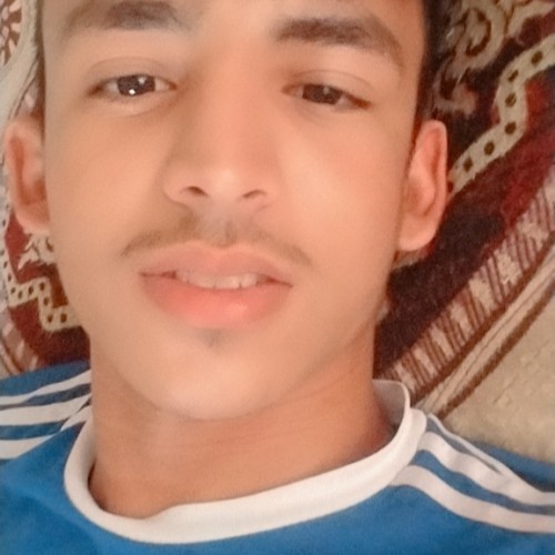 Moujahid B.