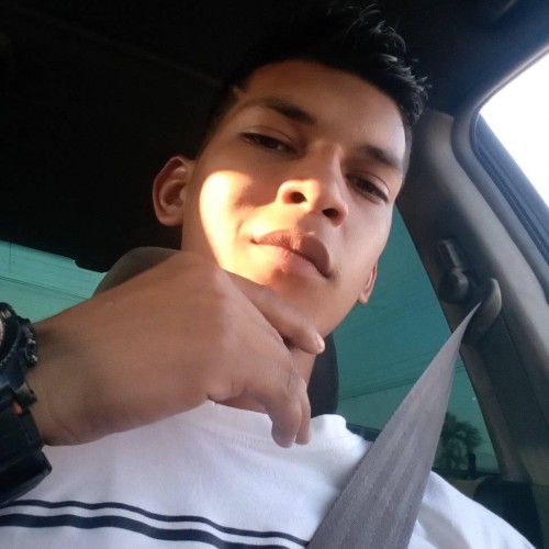 alexander  a. profile photo