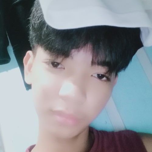 Vincent  N.
