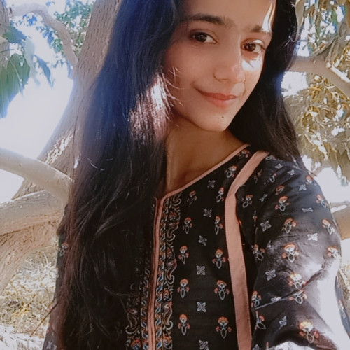 Areeba T.