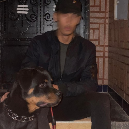 Alaa H. profile photo