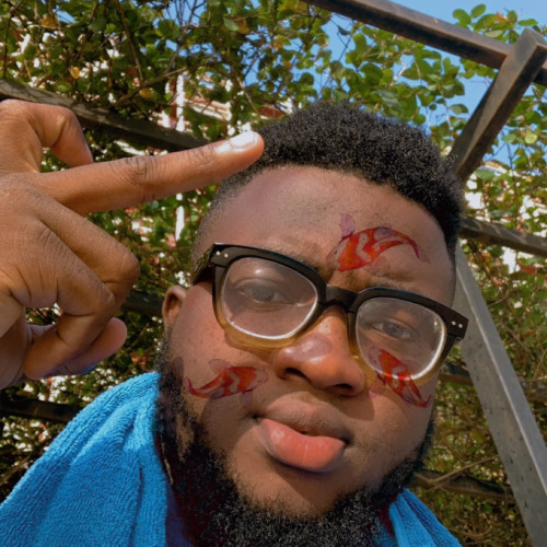 Ikechukwu P. profile photo