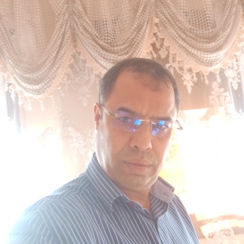 Sun M. profile photo