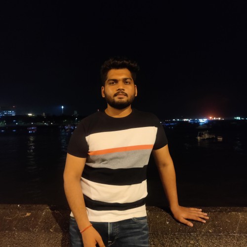 Aryan P.