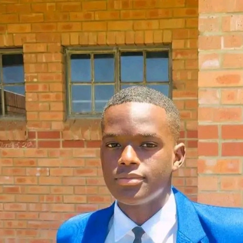 sboniso M. profile photo