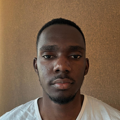 OLUWADAMILARE O. profile photo