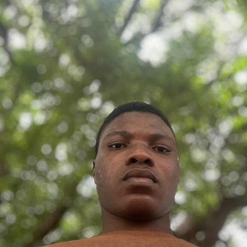 Ayanfeoluwa J. profile photo