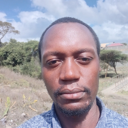 David N. profile photo