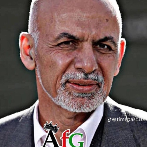 Talha N.