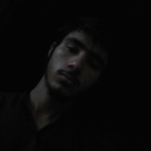 Muhammad Y. profile photo