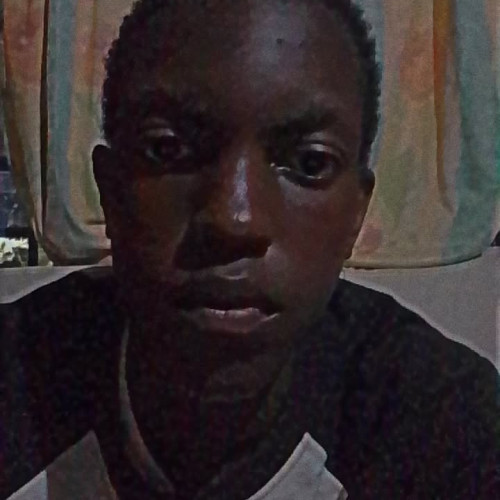 Daniel  N. profile photo