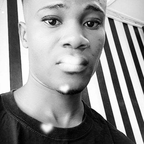 Wilfried K. profile photo