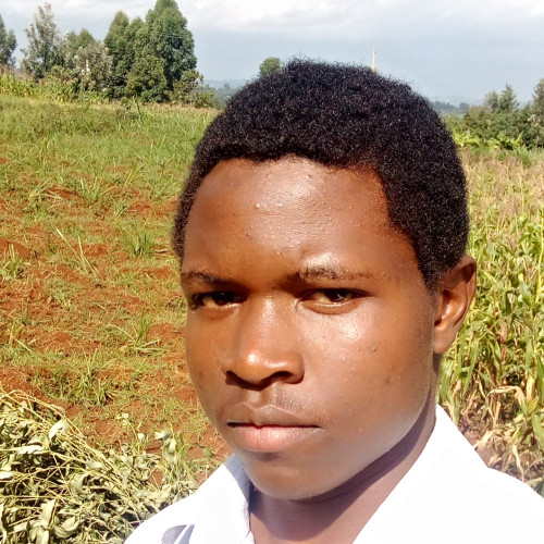 Emman  O. profile photo