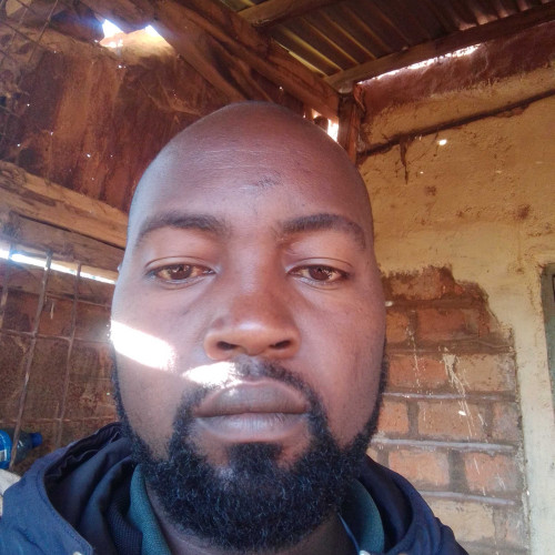 sam o. profile photo