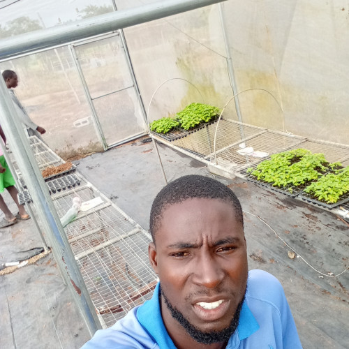 Olawale  A.
