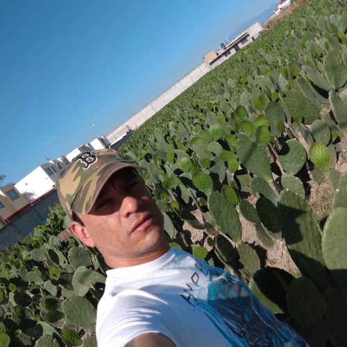 Luis P. profile photo