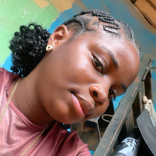 Olusola G. profile photo