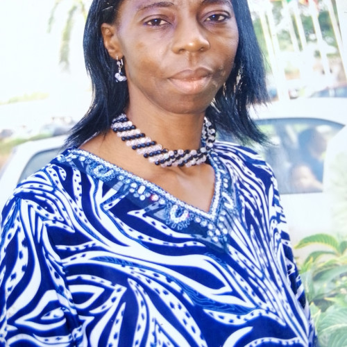 Olusola  S. profile photo