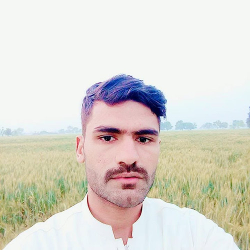 Ali R. profile photo