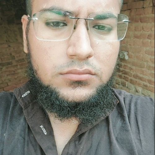 Muhammad hamza nisar N.