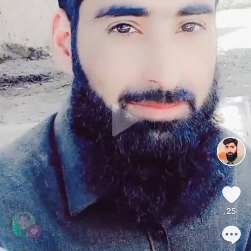 Shehzad A. profile photo