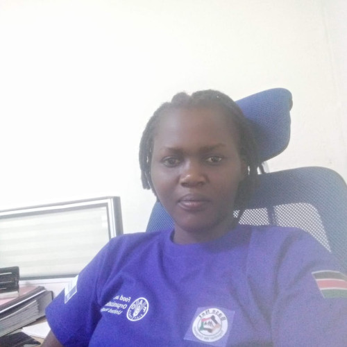 Ojjaba F. profile photo