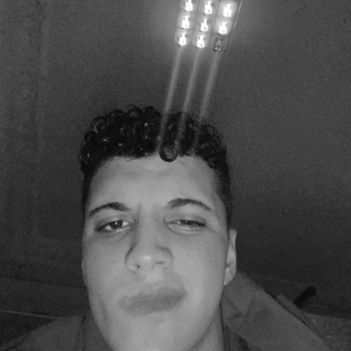 Mohamed M. profile photo