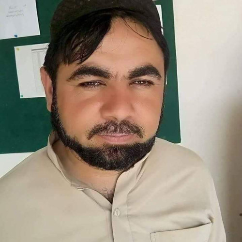 shamsu d.