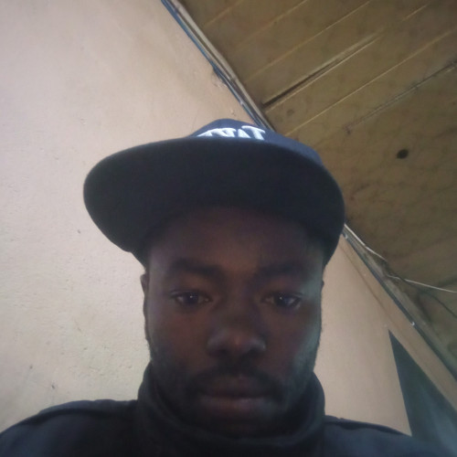 Alex  N. profile photo