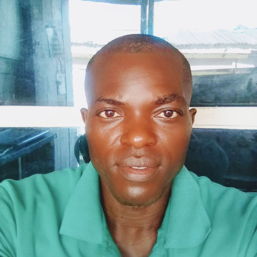 Emmanuel Uchenna  N. profile photo