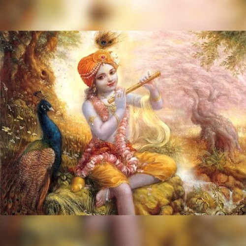 Priya  B. profile photo
